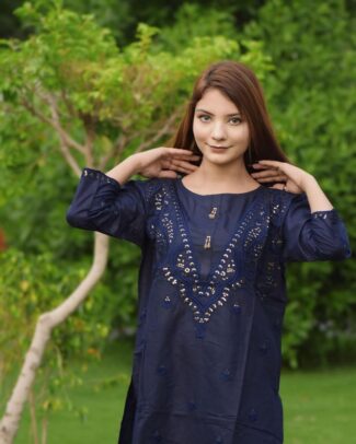 2 Pcs Women's Round Neck Cotton Fabric Embroidered Stitched Suit
